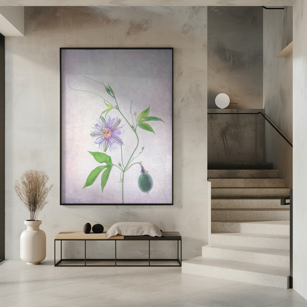 Passion Fruit | Poster