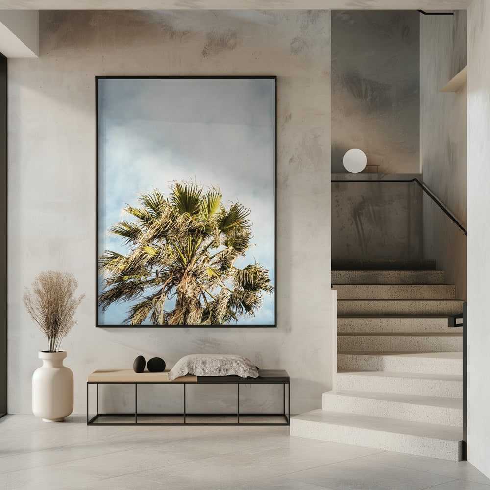 Sunlit Fronds | Poster