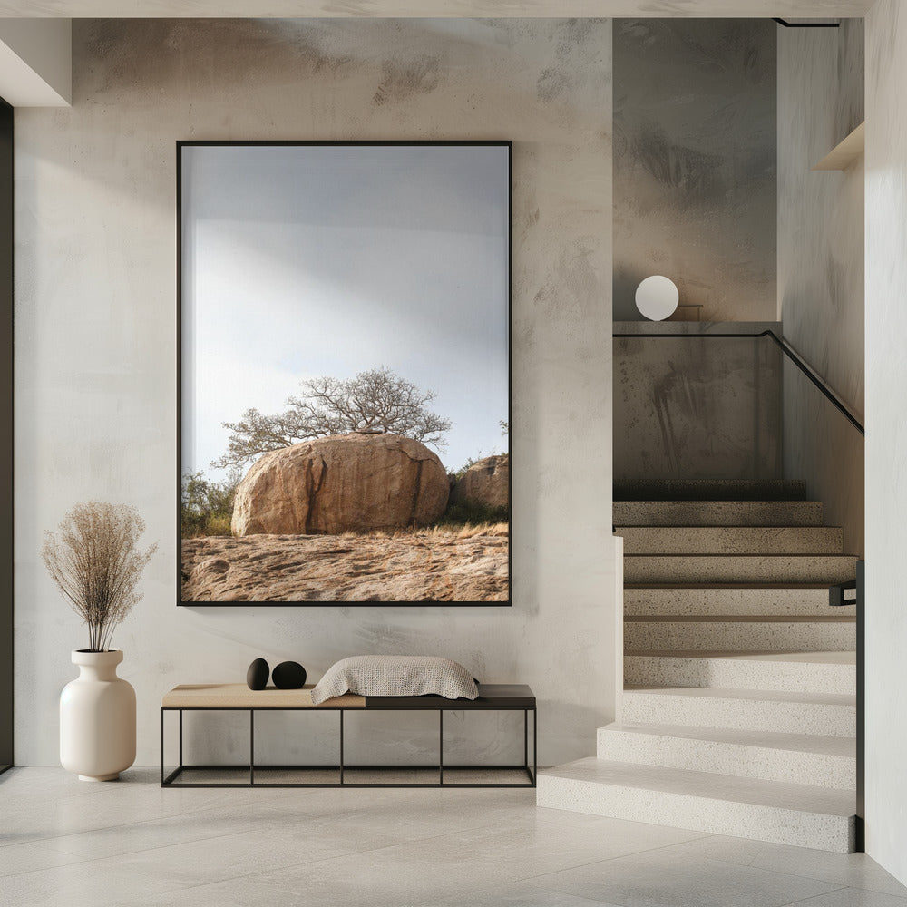 Tree on a Boulder | Poster