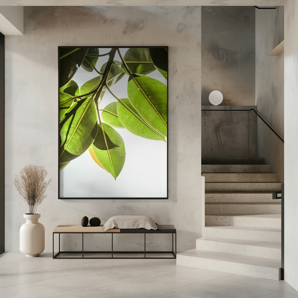 Sunlit Leaves | Poster