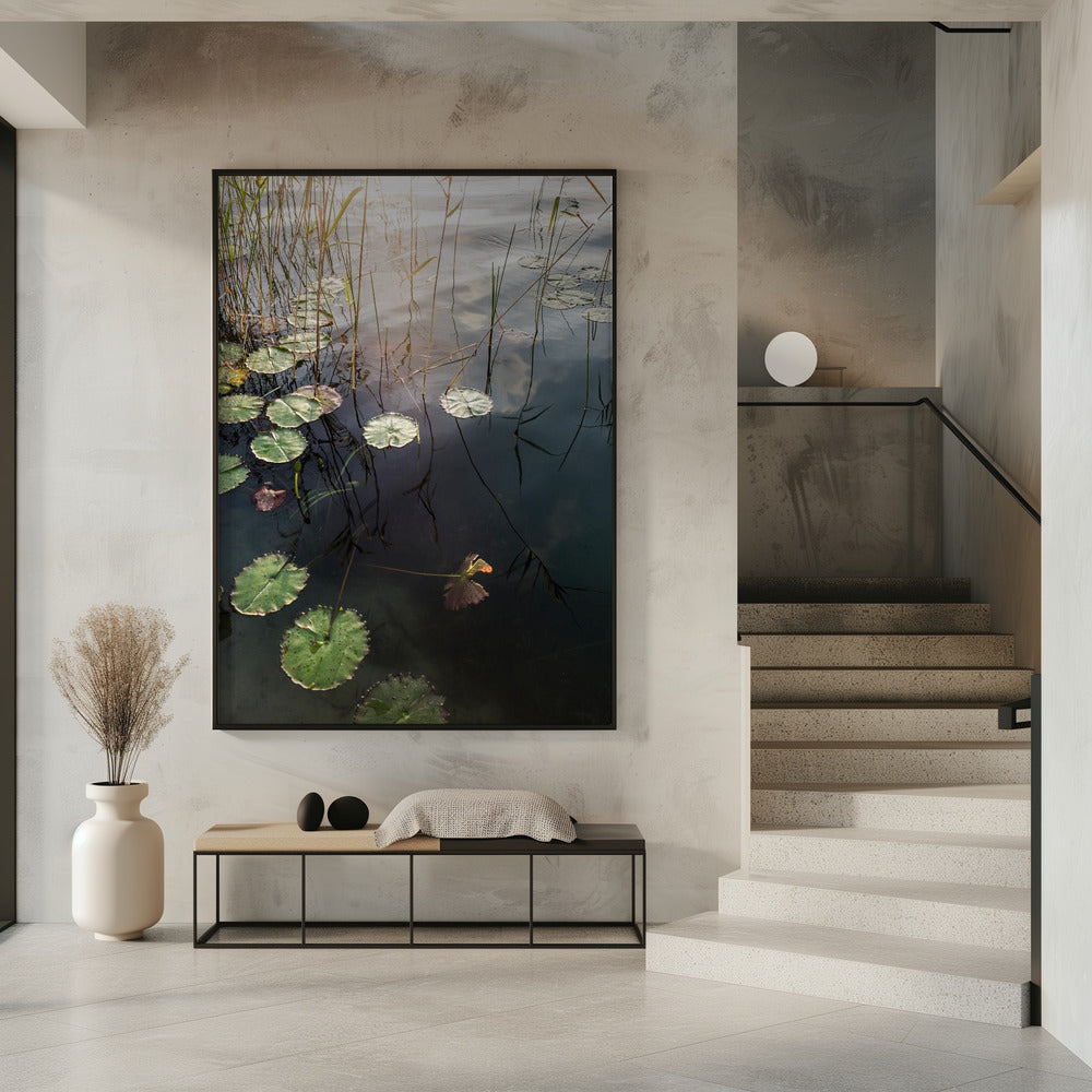 Lily's Tranquil Dawn | Poster