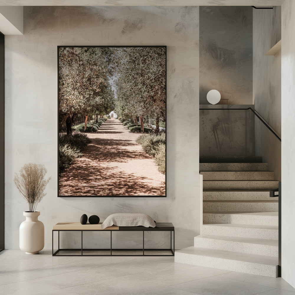 A Serene Tree Lined Path with Sunlight | Poster