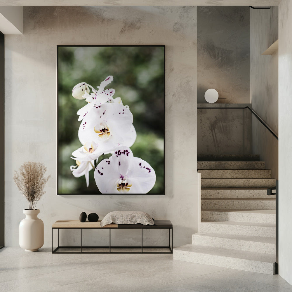 Spring Blooms | Poster