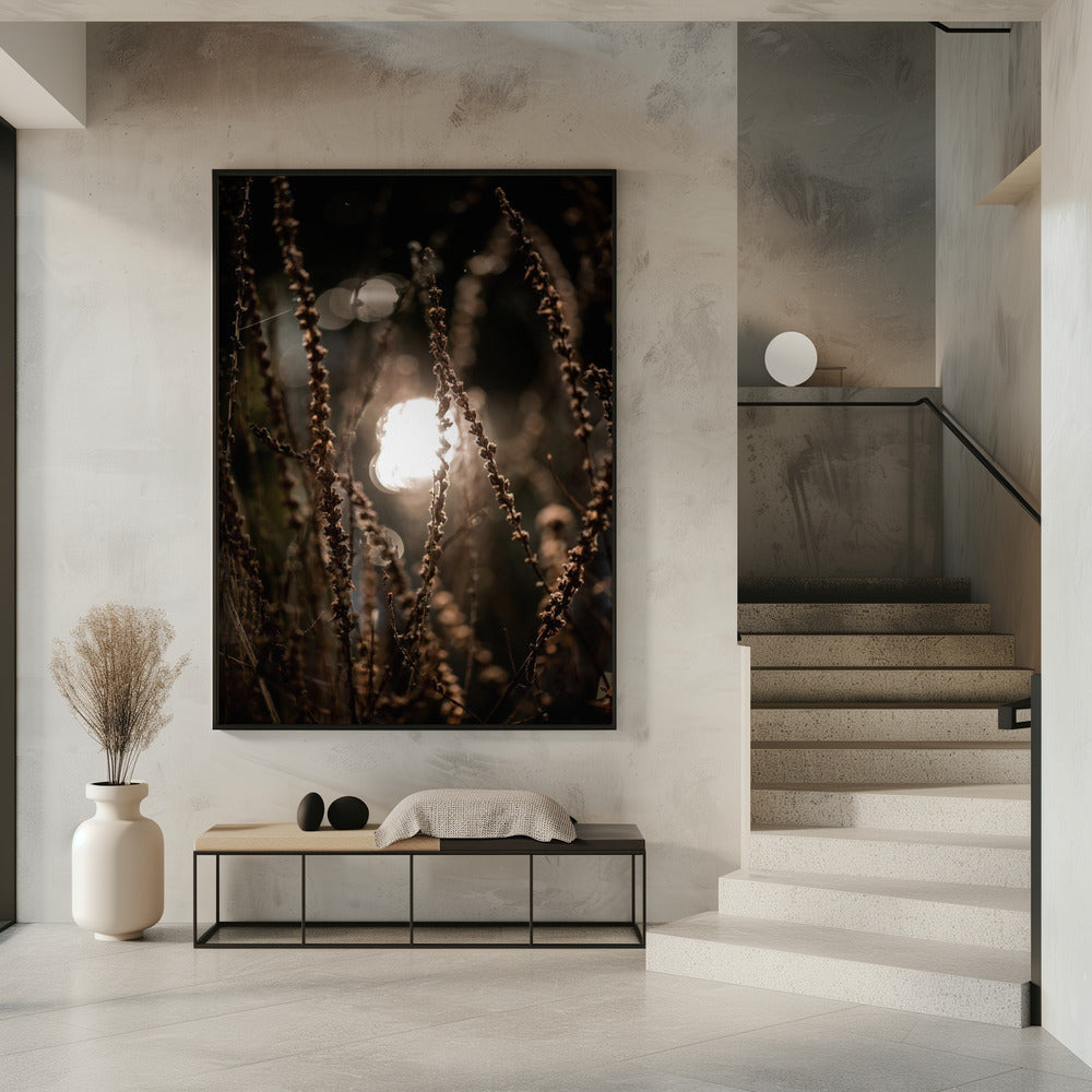 Autumn Lights 2 | Poster