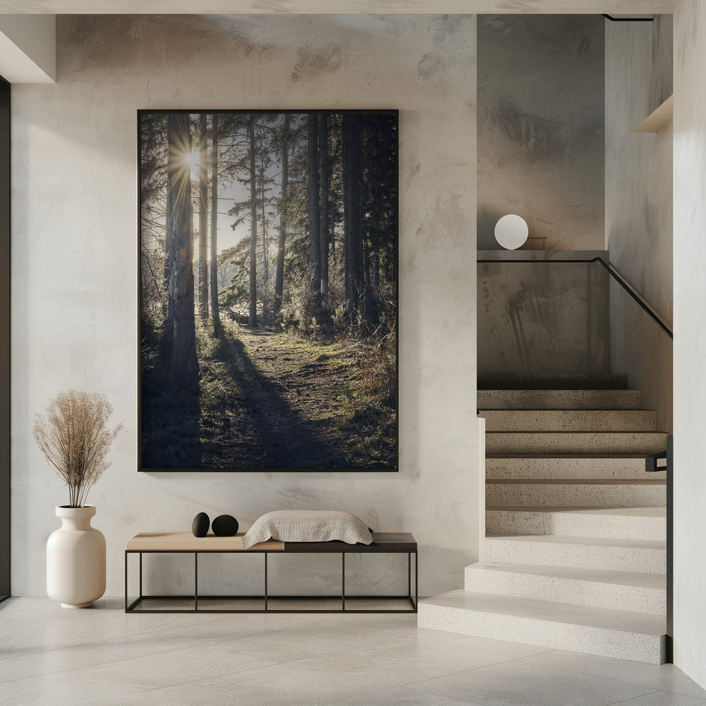 Dsf2913 Hdr 1 | Poster