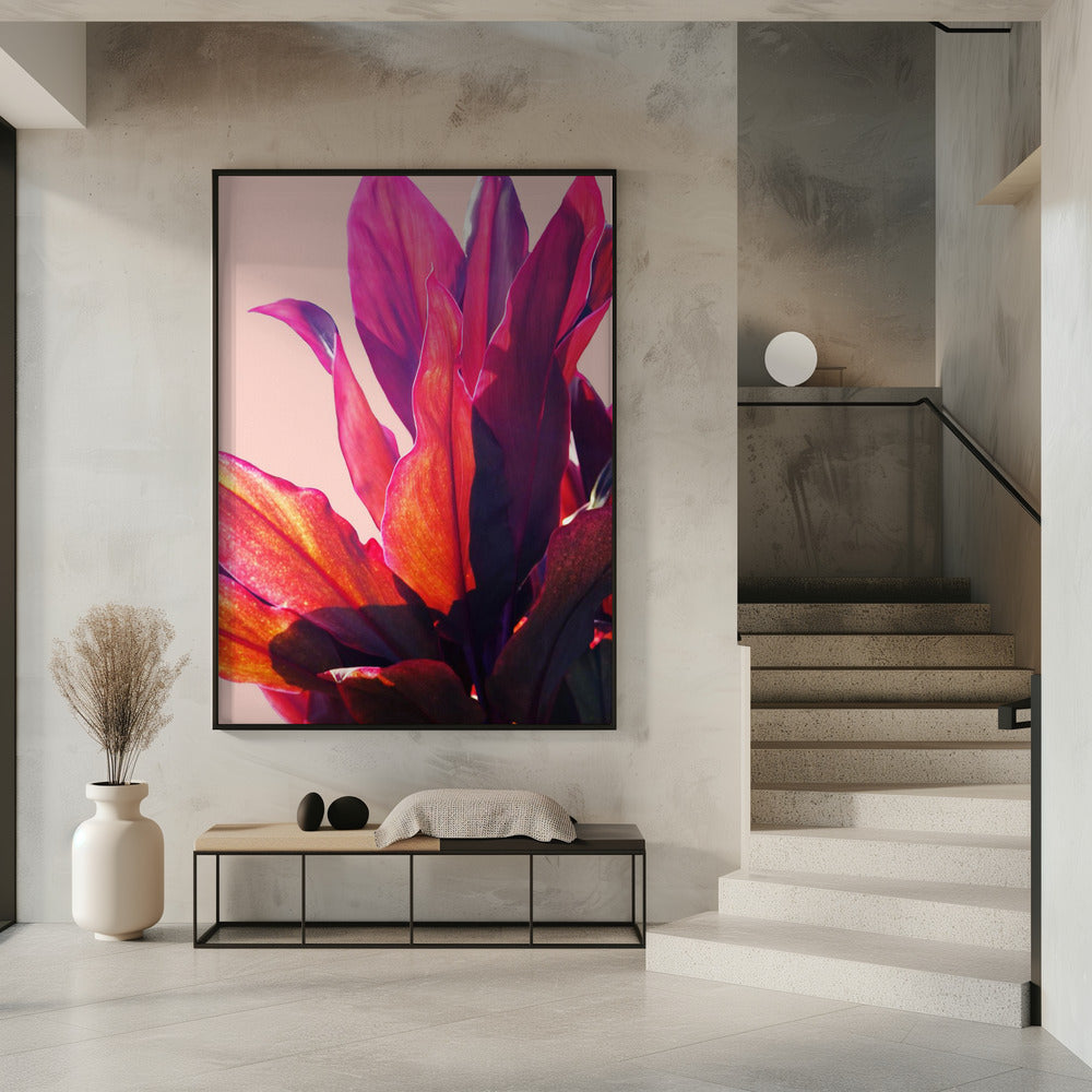 Fuchsia Leaves II | Poster