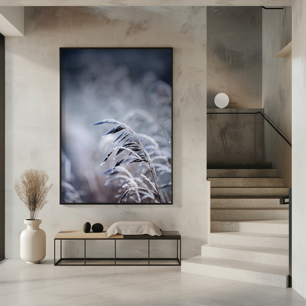 Frosty Morning 5 | Poster