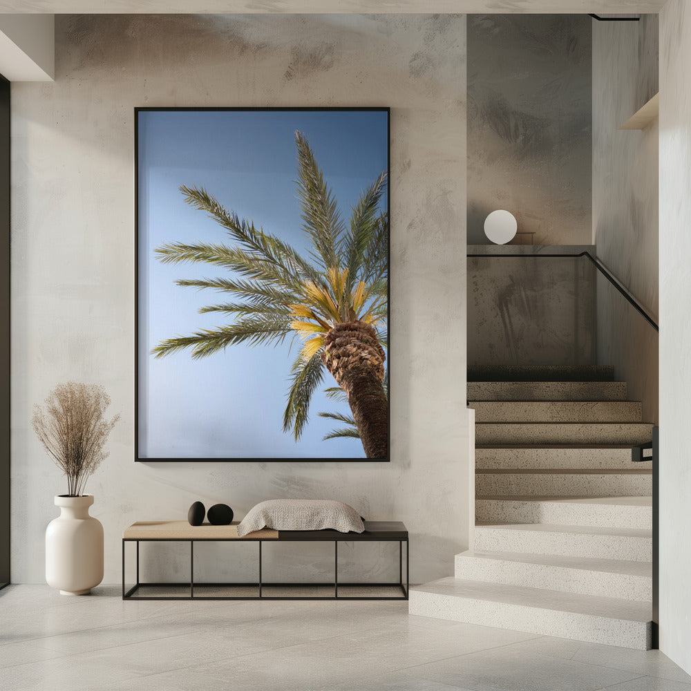 Vejer de La Frontera Palm Tree | Poster