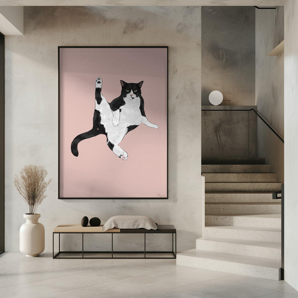 Cat In A Funny Pose | Poster
