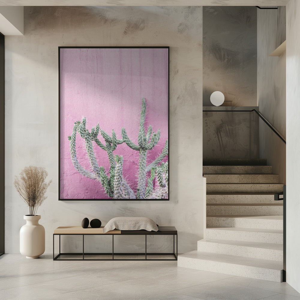 Cactus On Pink | Poster