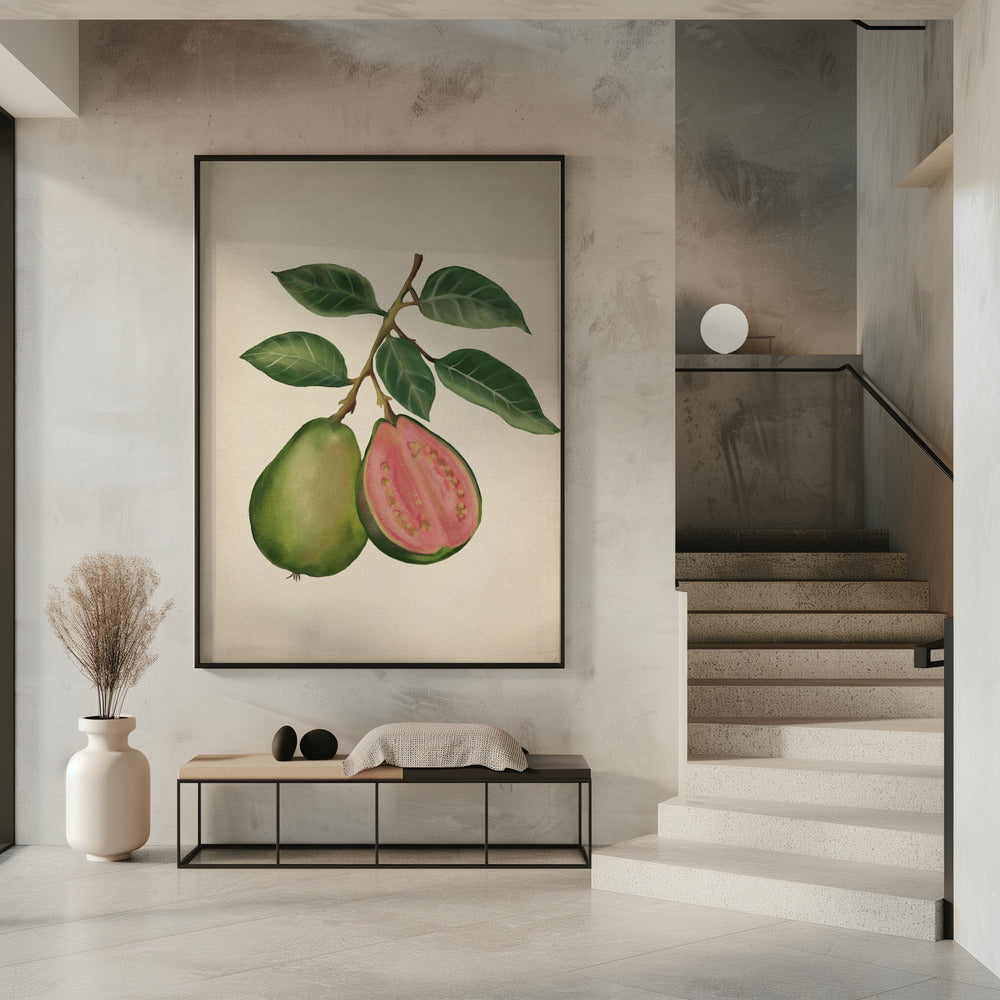 Vintage guava | Poster