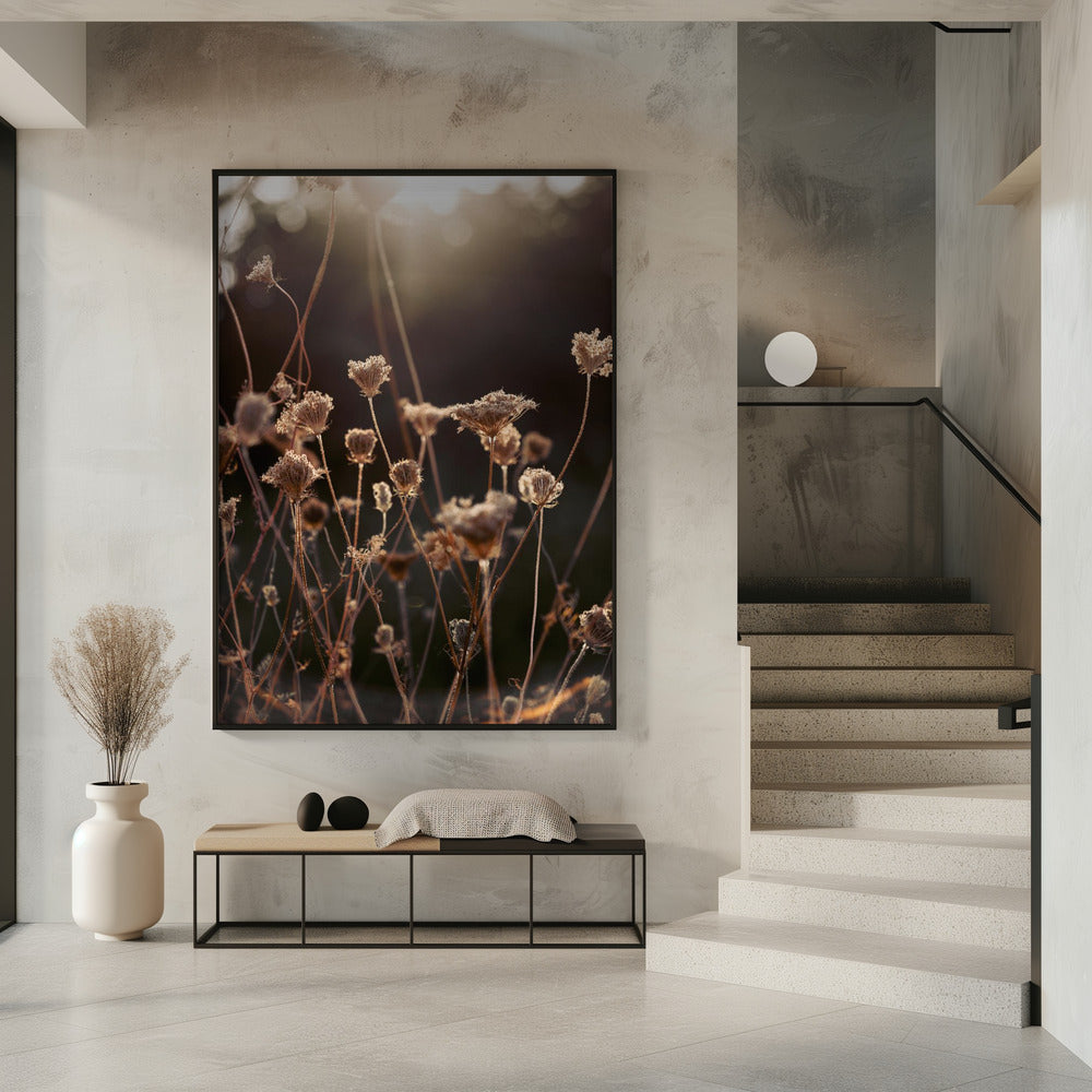 Warm Winter Light 2 | Poster