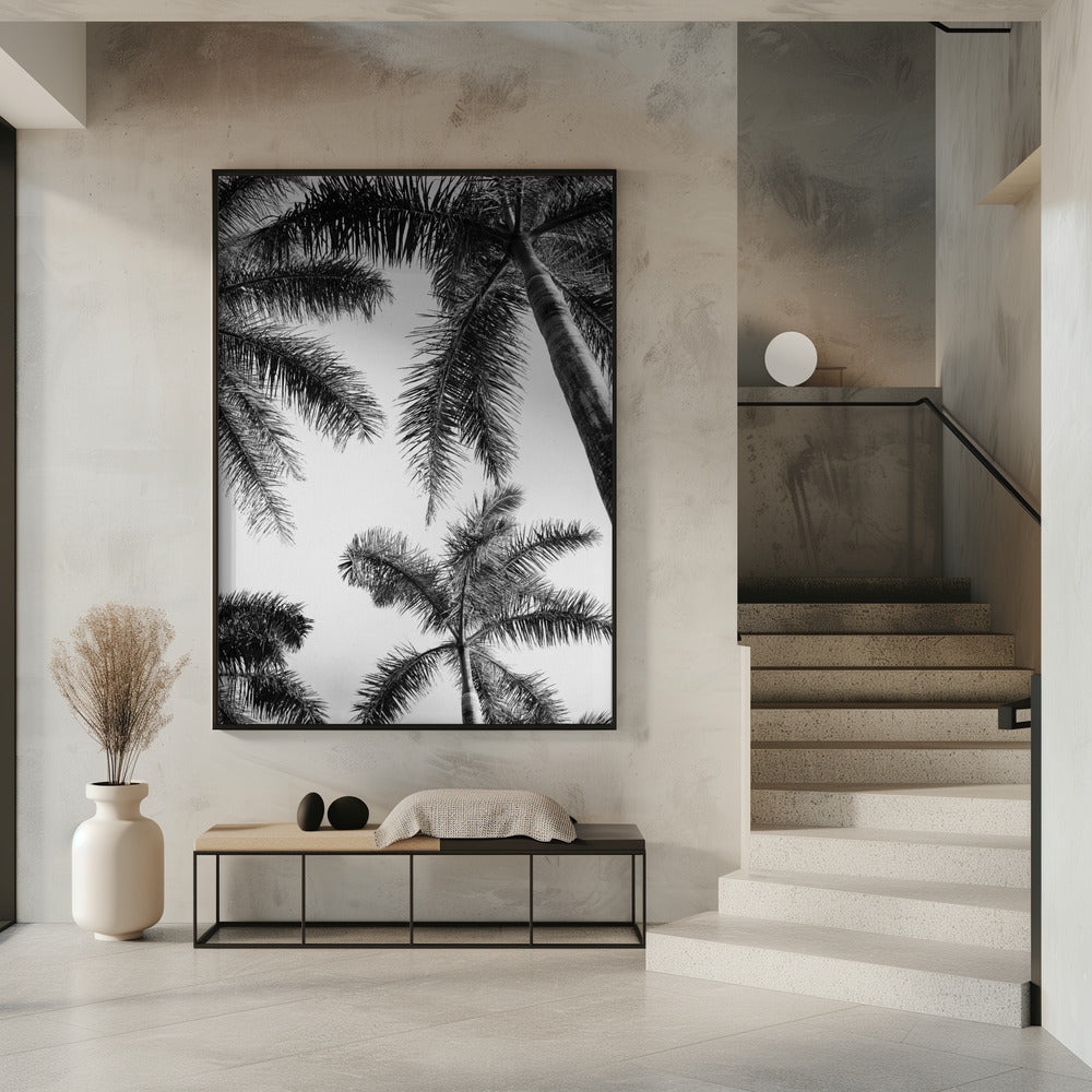 Black And White Palm Tree | Poster
