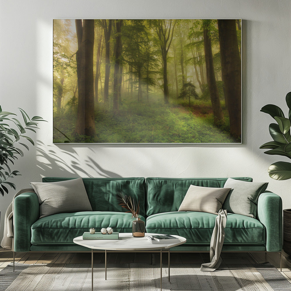 The little tree | Canvas