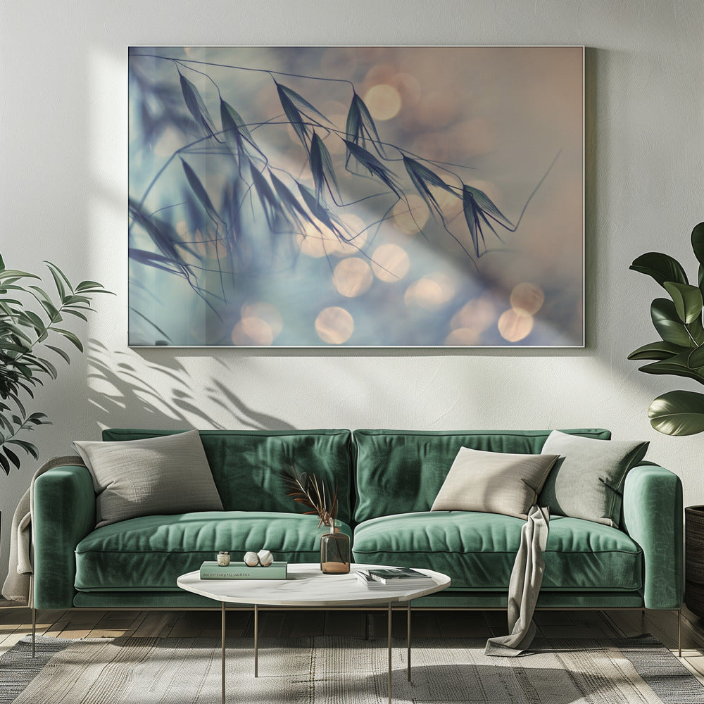 ...<<< | Canvas