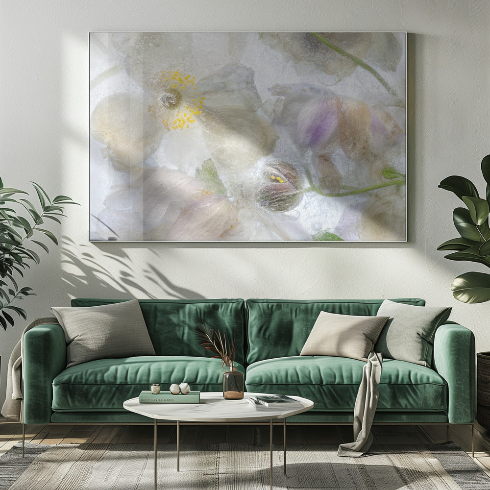 Anemone frost | Canvas