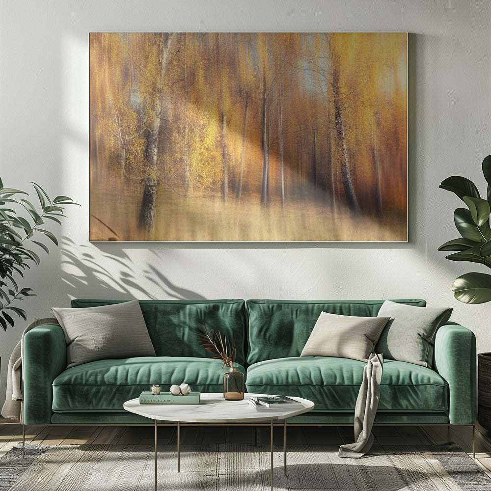 Autumn Birches | Canvas