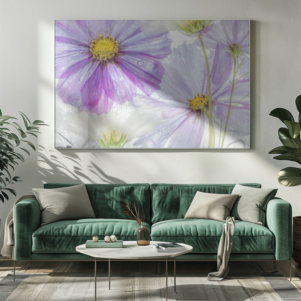 Cosmos cool | Canvas