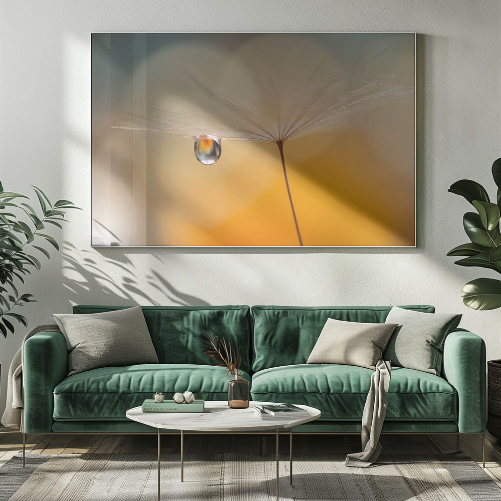 Little Night Music... | Canvas