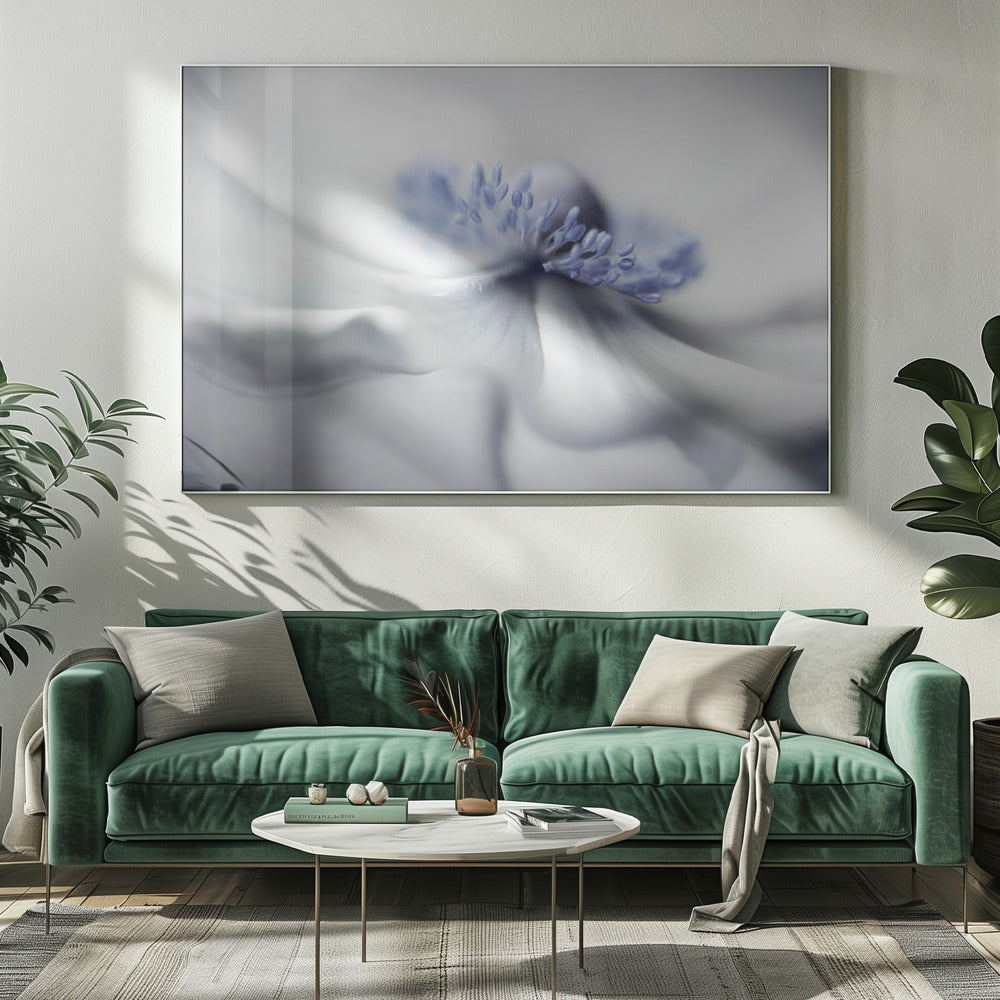 Anemone spirit | Canvas