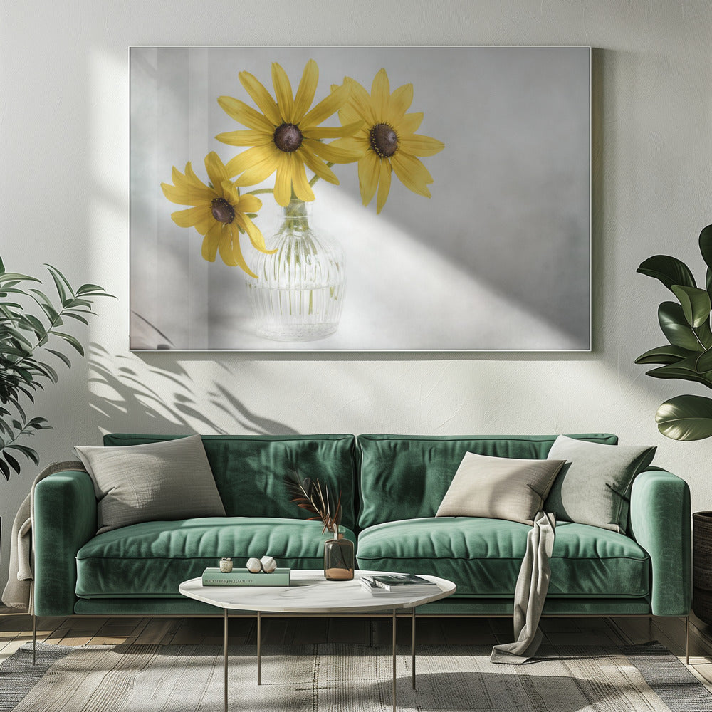 Rudbeckia | Canvas