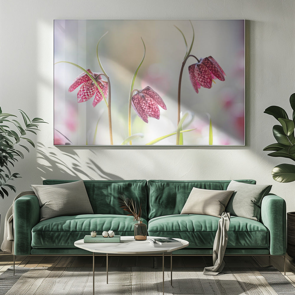Snakes head Fritillary | Canvas