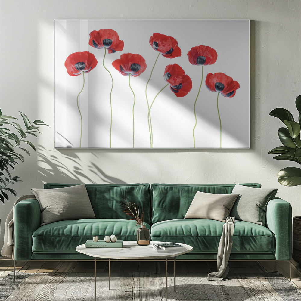 Ladybird Poppies | Canvas