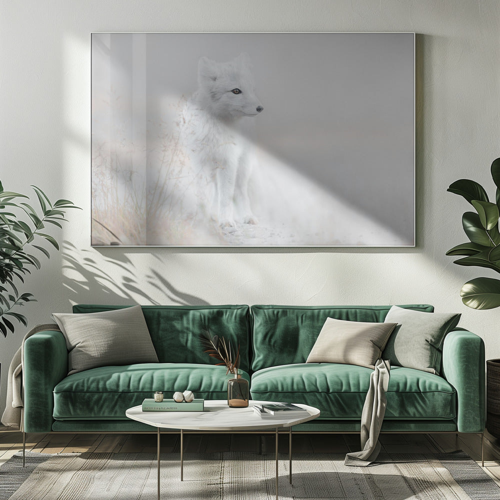 Looking around | Canvas