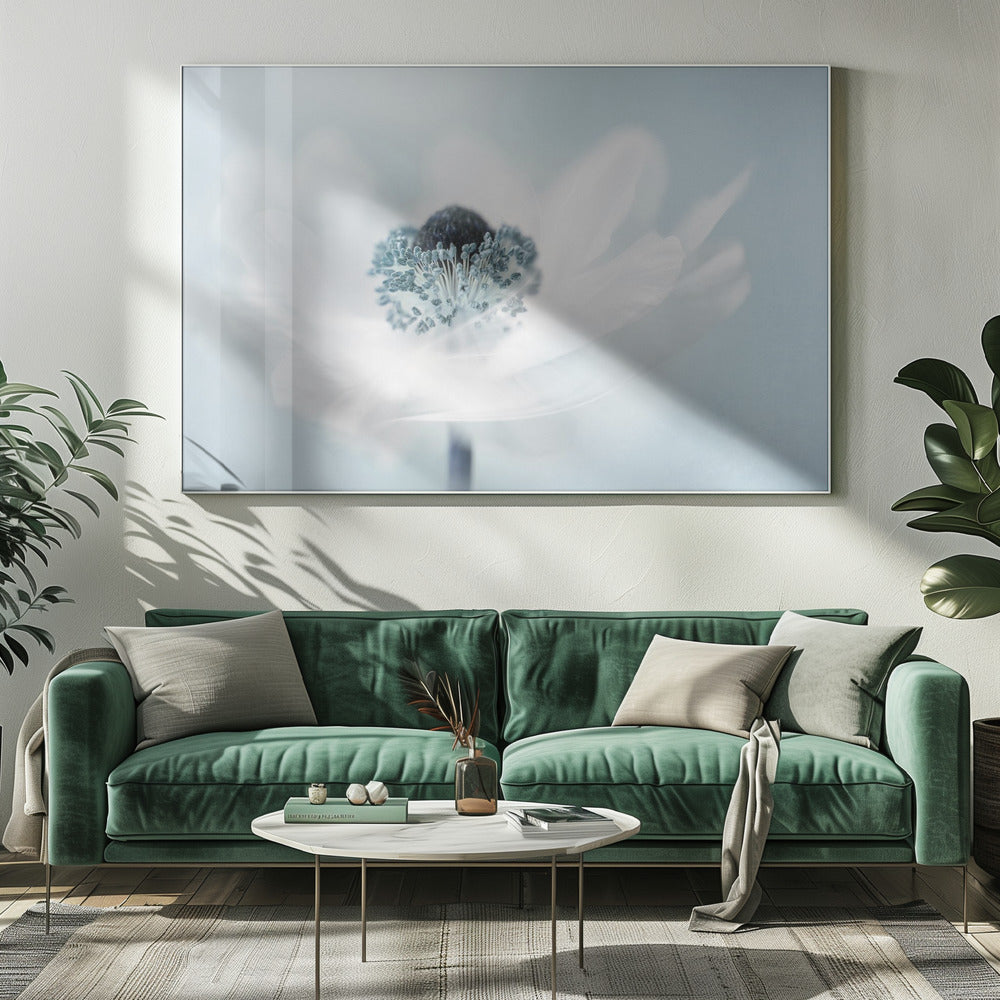 Candy floss | Canvas