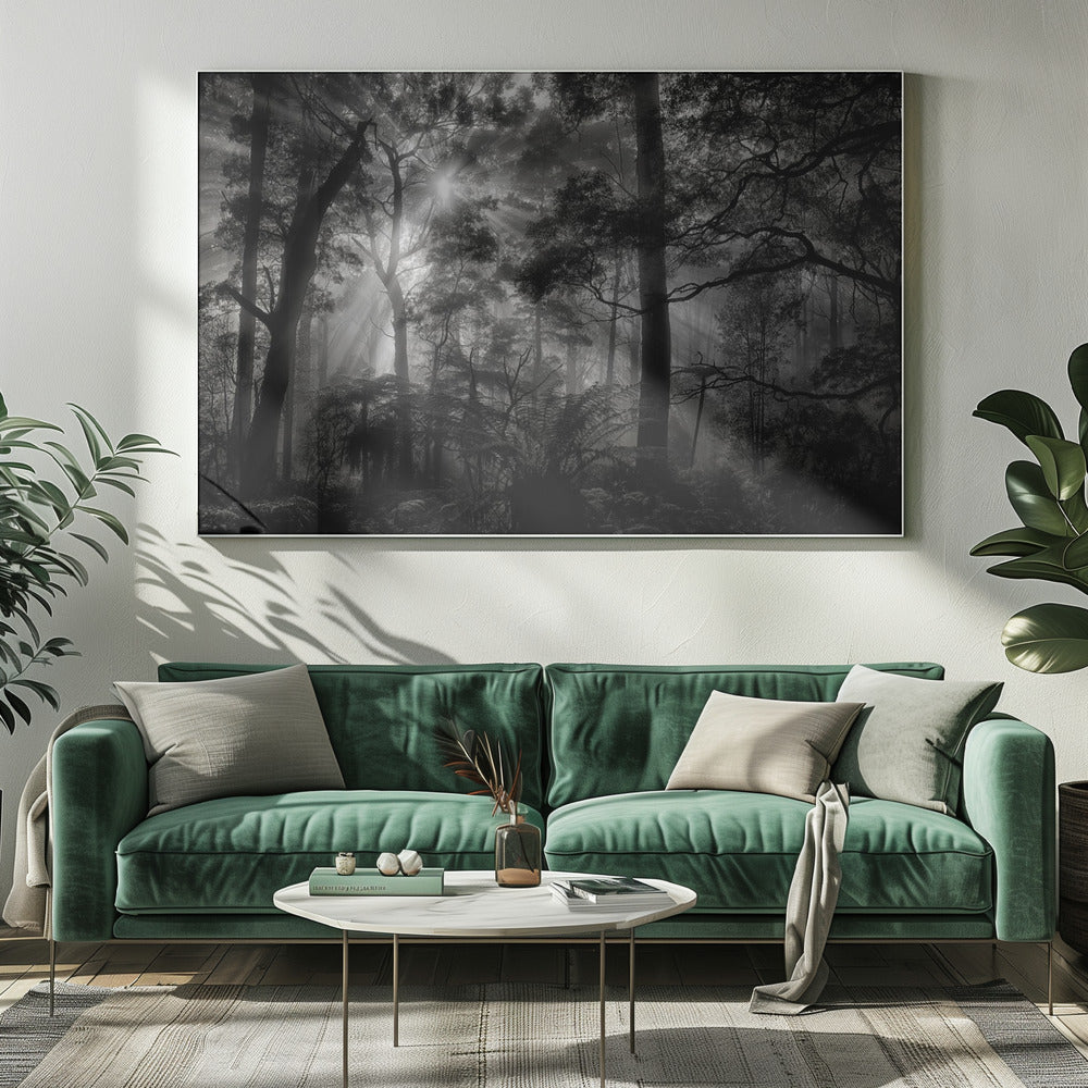 Primary forest | Canvas
