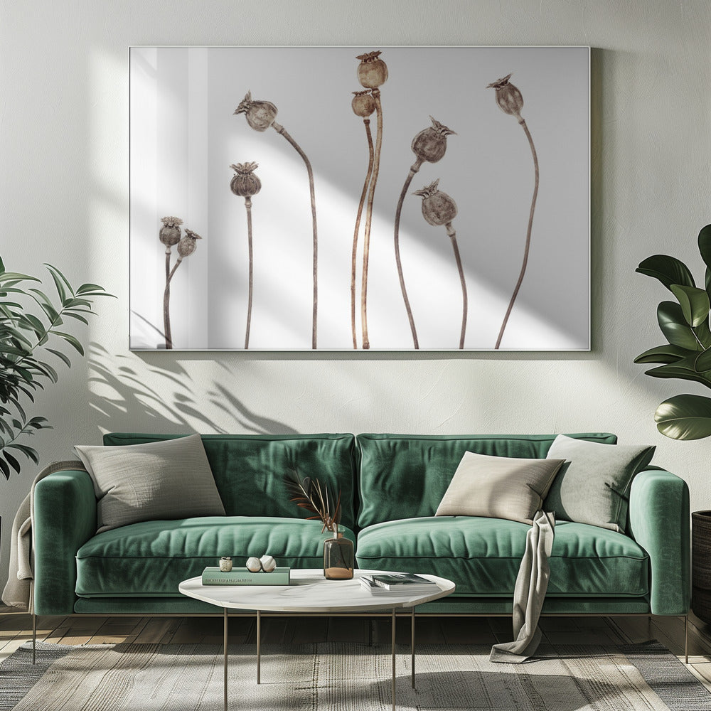 Poppies | Canvas