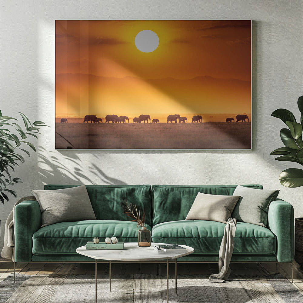 Sunrise parade | Canvas