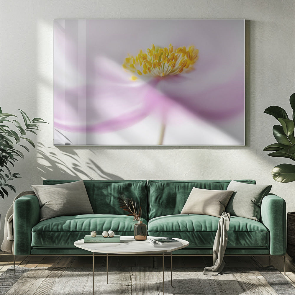 *Anemone* | Canvas
