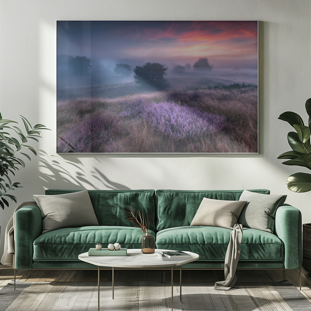 "the colors of heather" | Canvas
