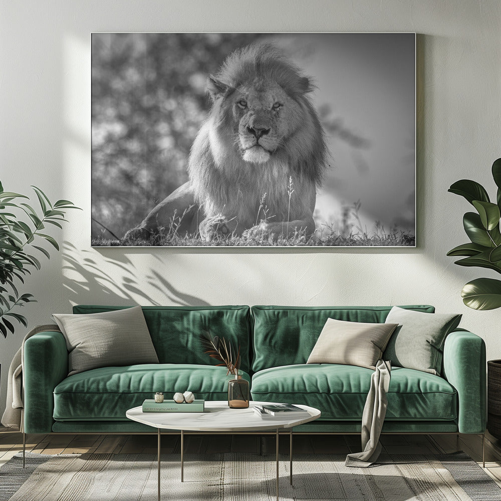 Monochromatic lion king | Canvas