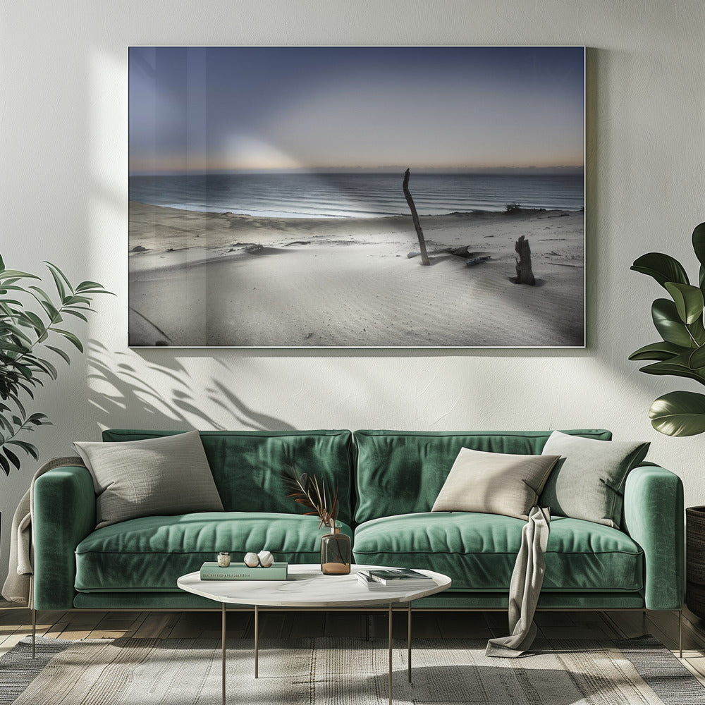 Reach for the sun | Canvas