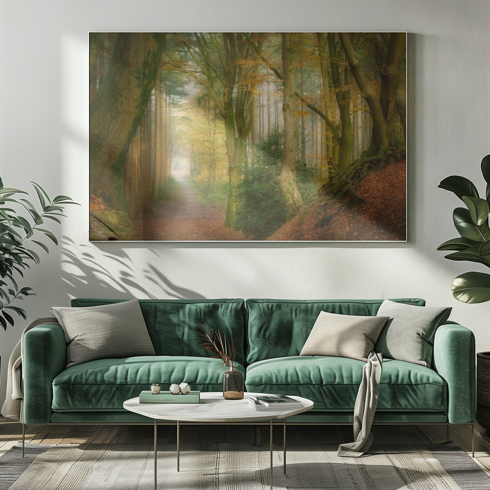 Following Fog | Canvas