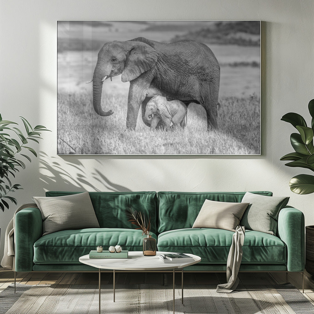 Staying close and protected | Canvas