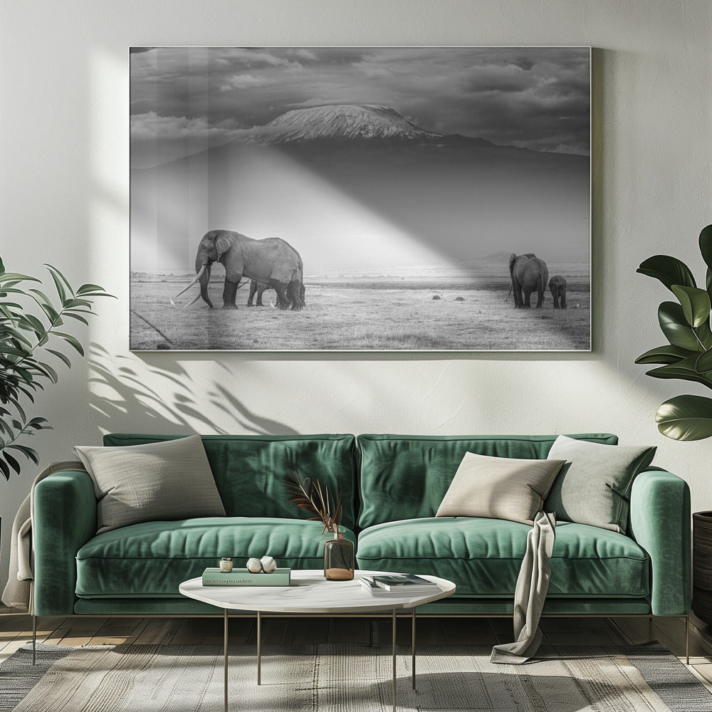 The land of giants | Canvas