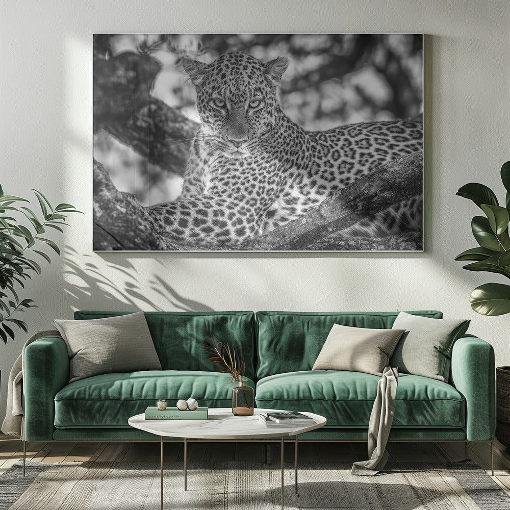 Monochrome beauty | Canvas