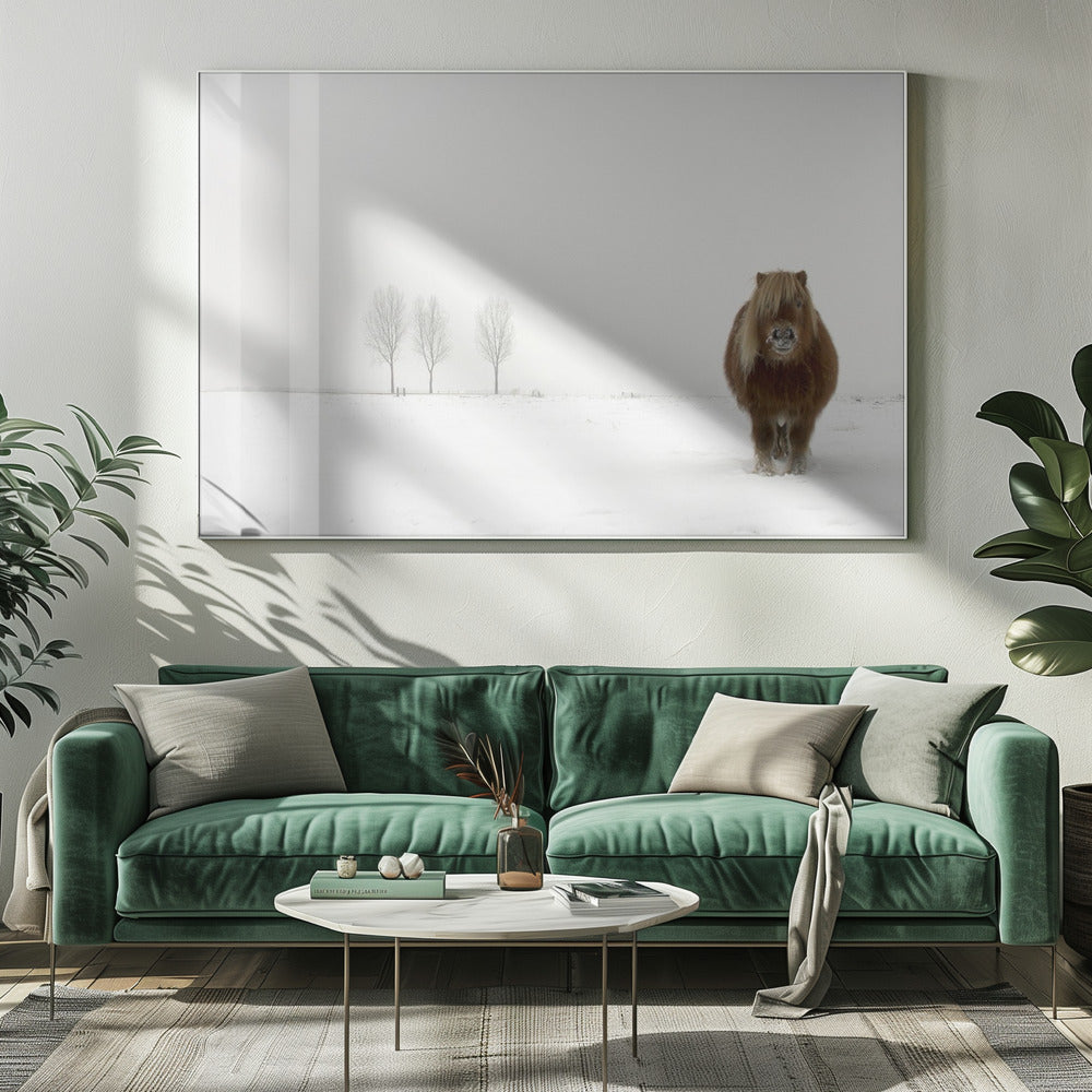 The cold pony | Canvas