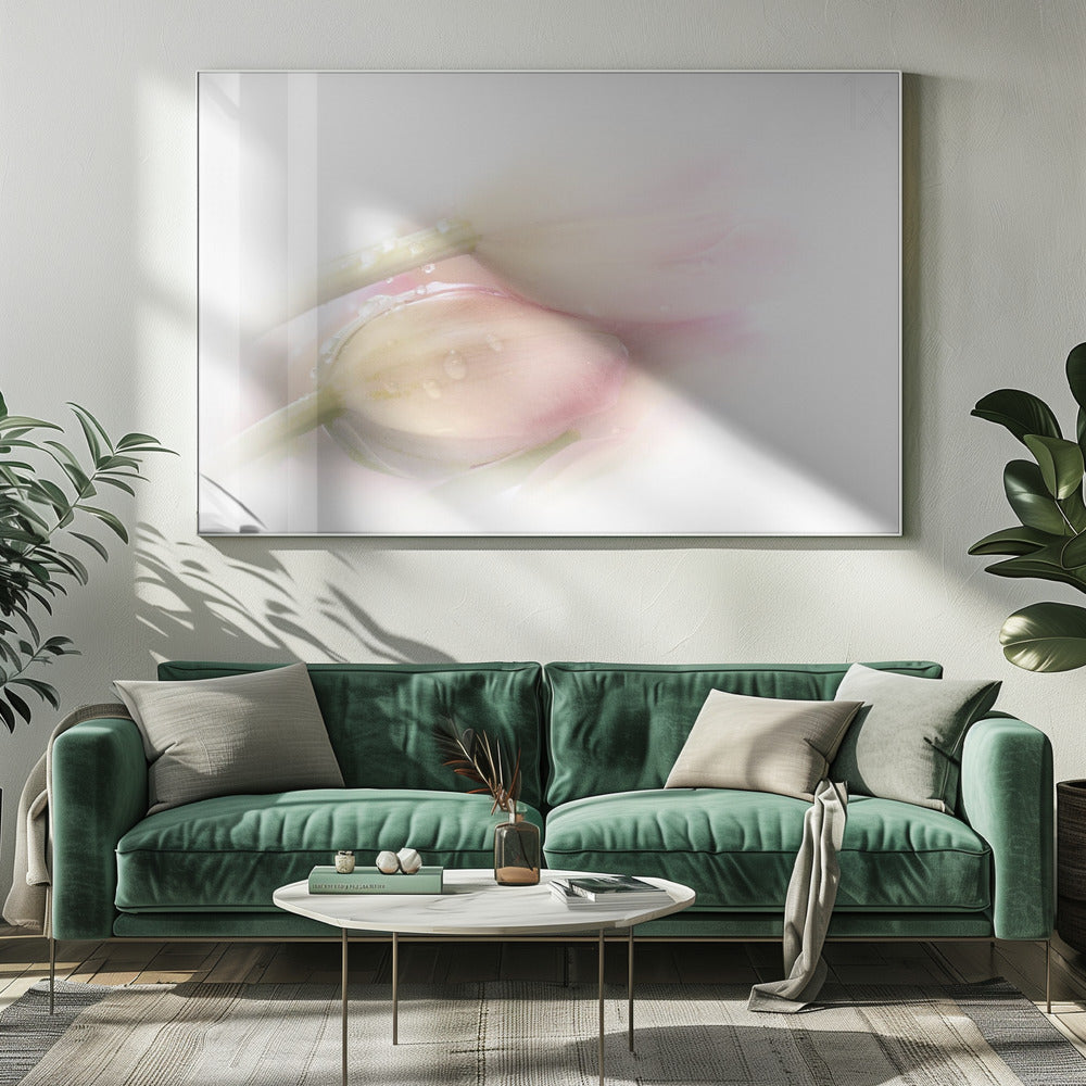 Touching | Canvas