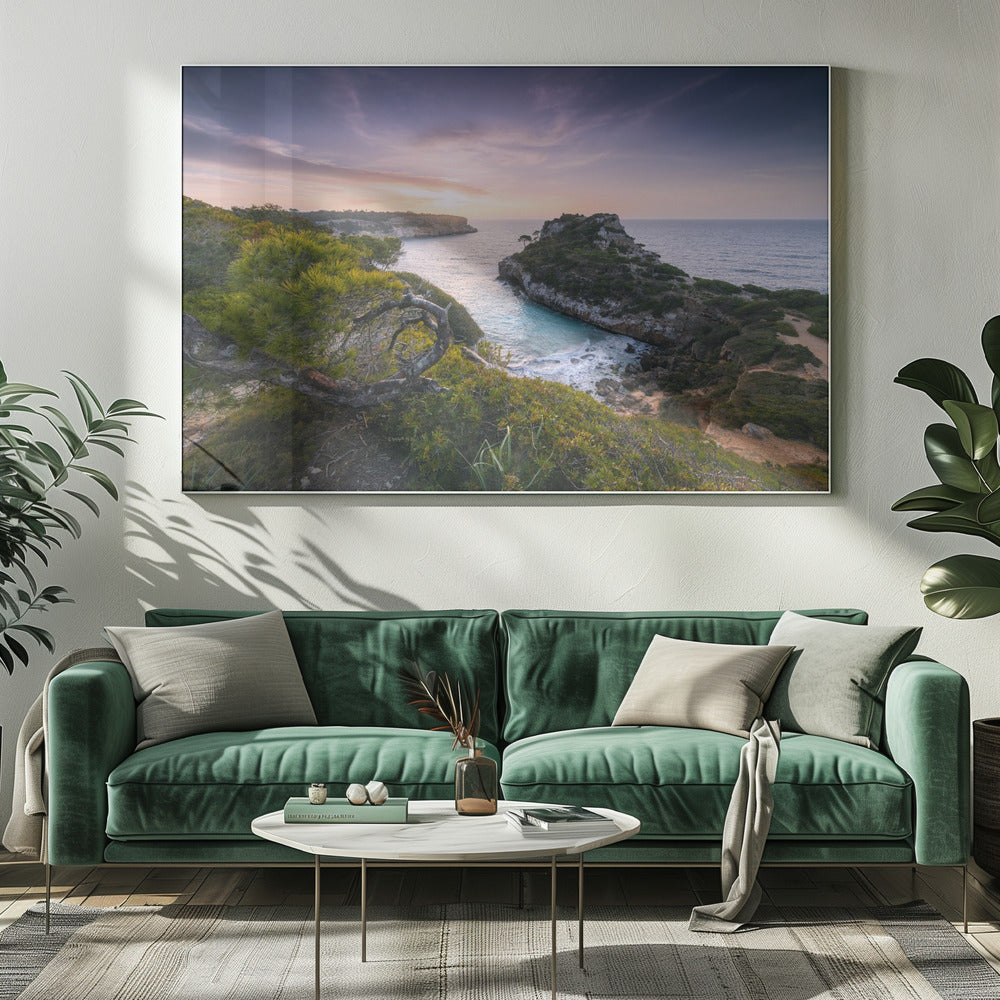 Baydreams | Canvas