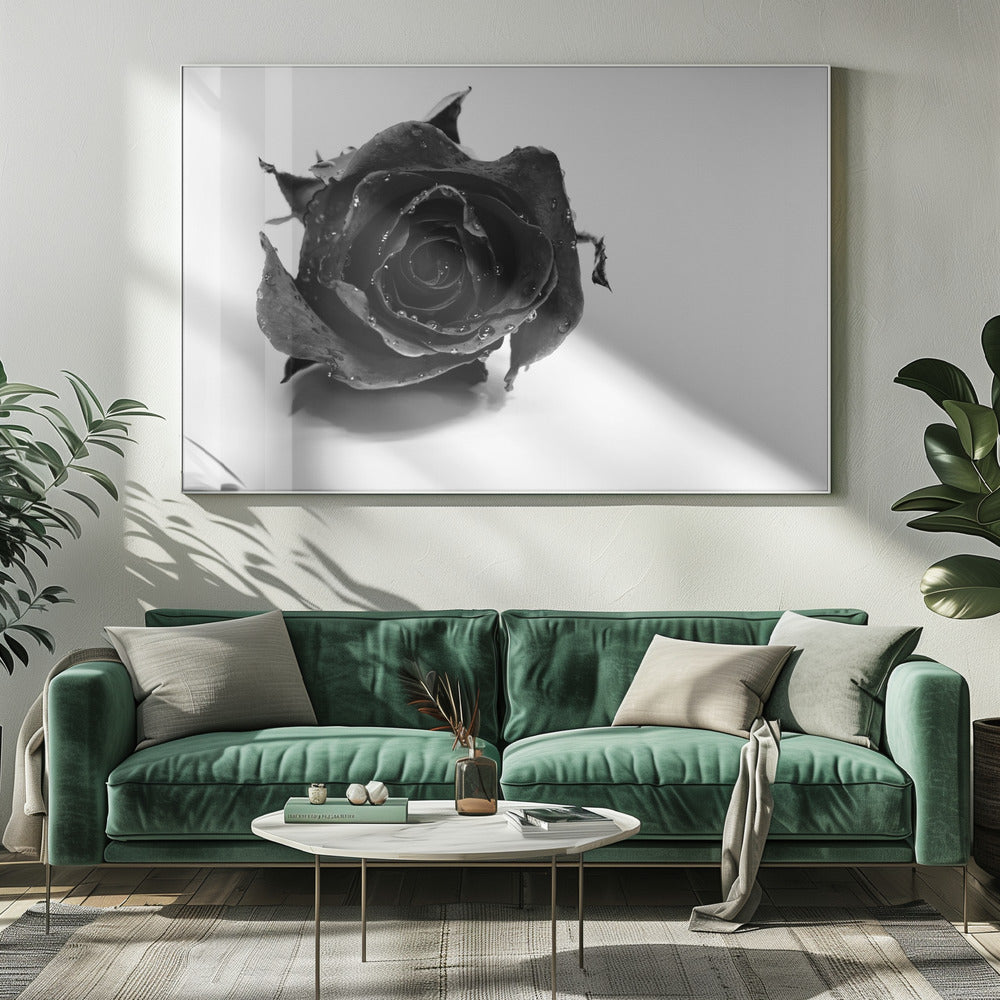 Rose Noir | Canvas
