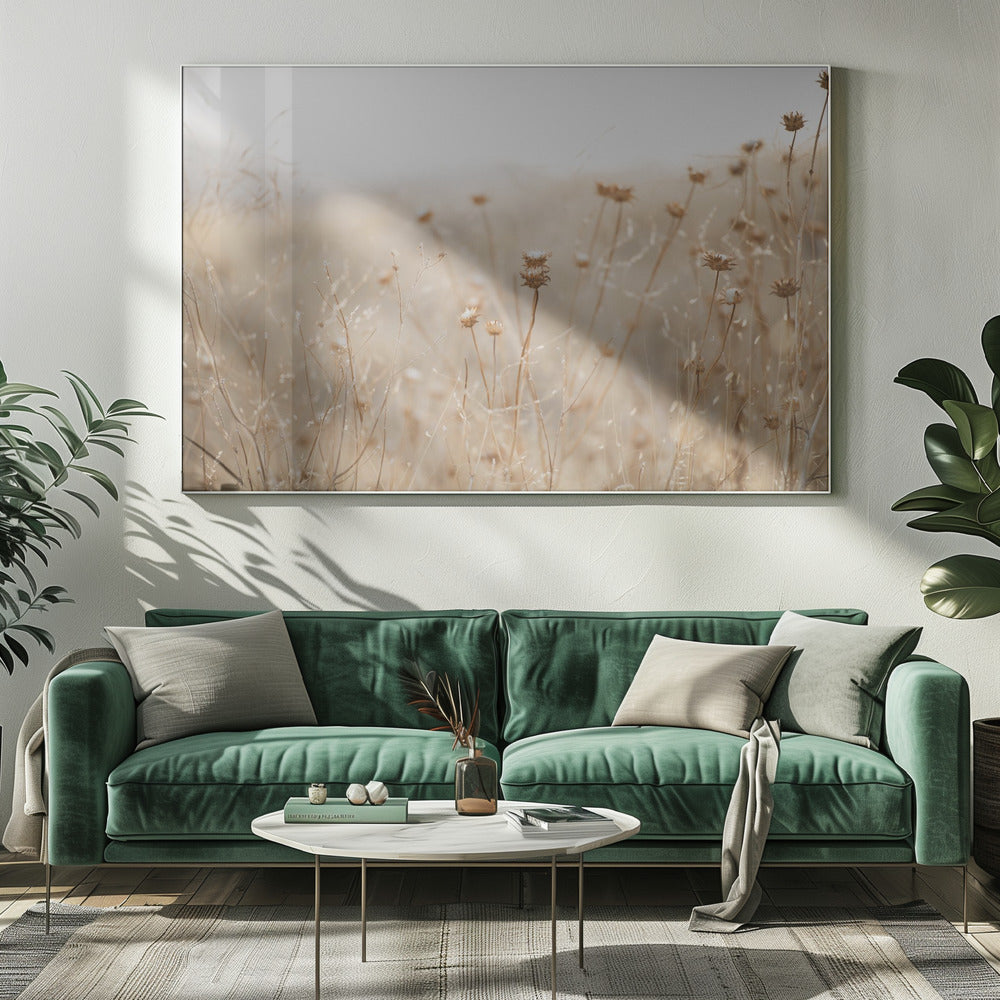 winter thistle no.2 | Canvas