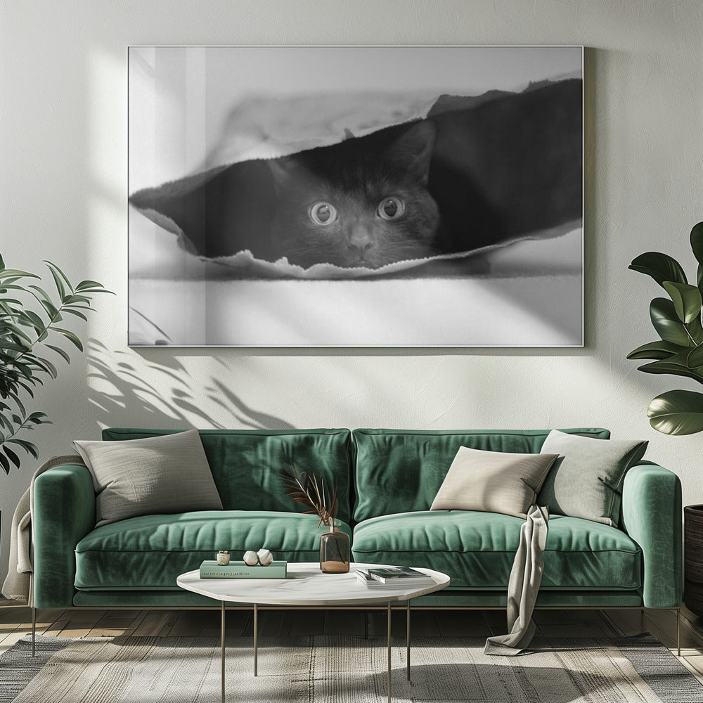 Cat in a bag | Canvas