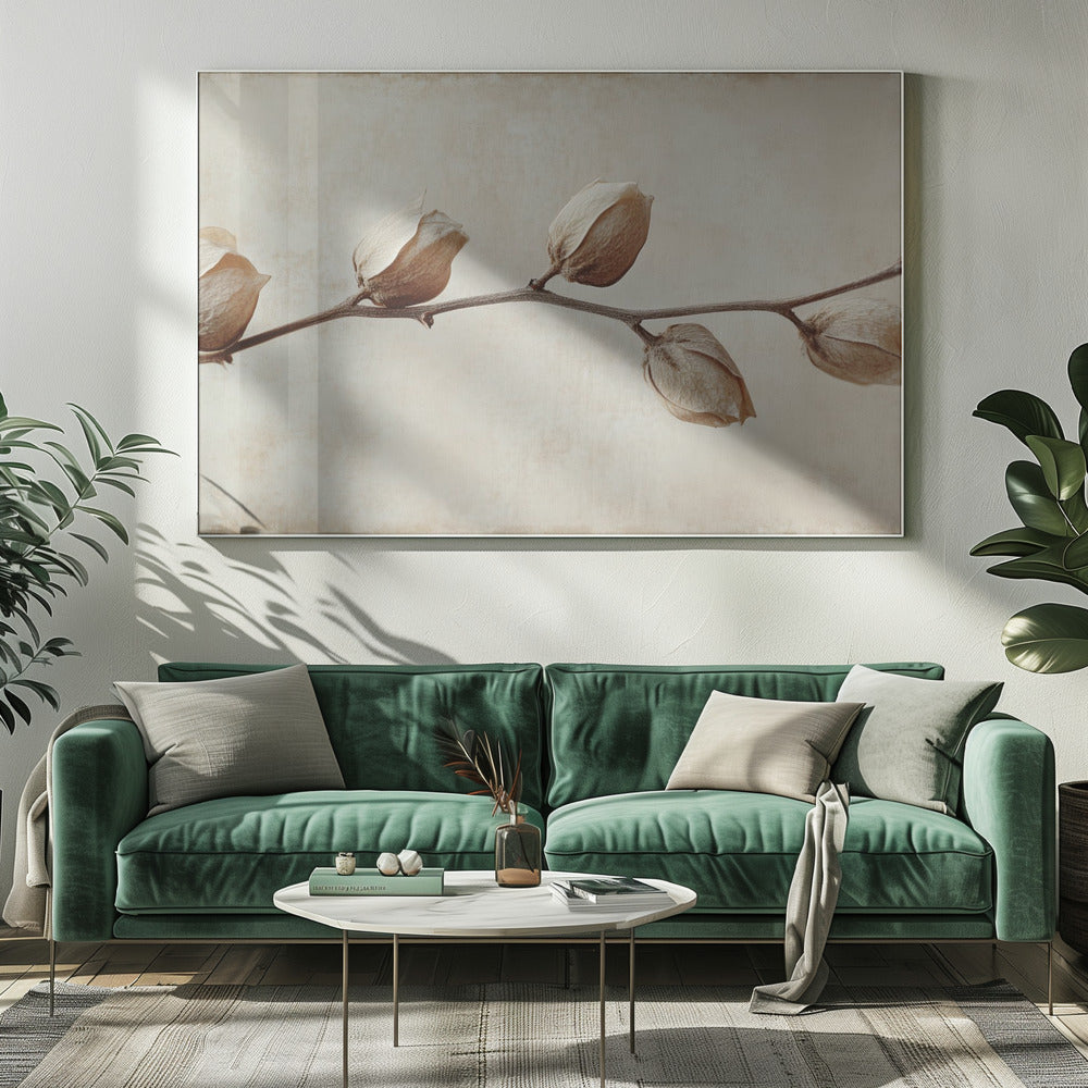 Faded Elegance | Canvas