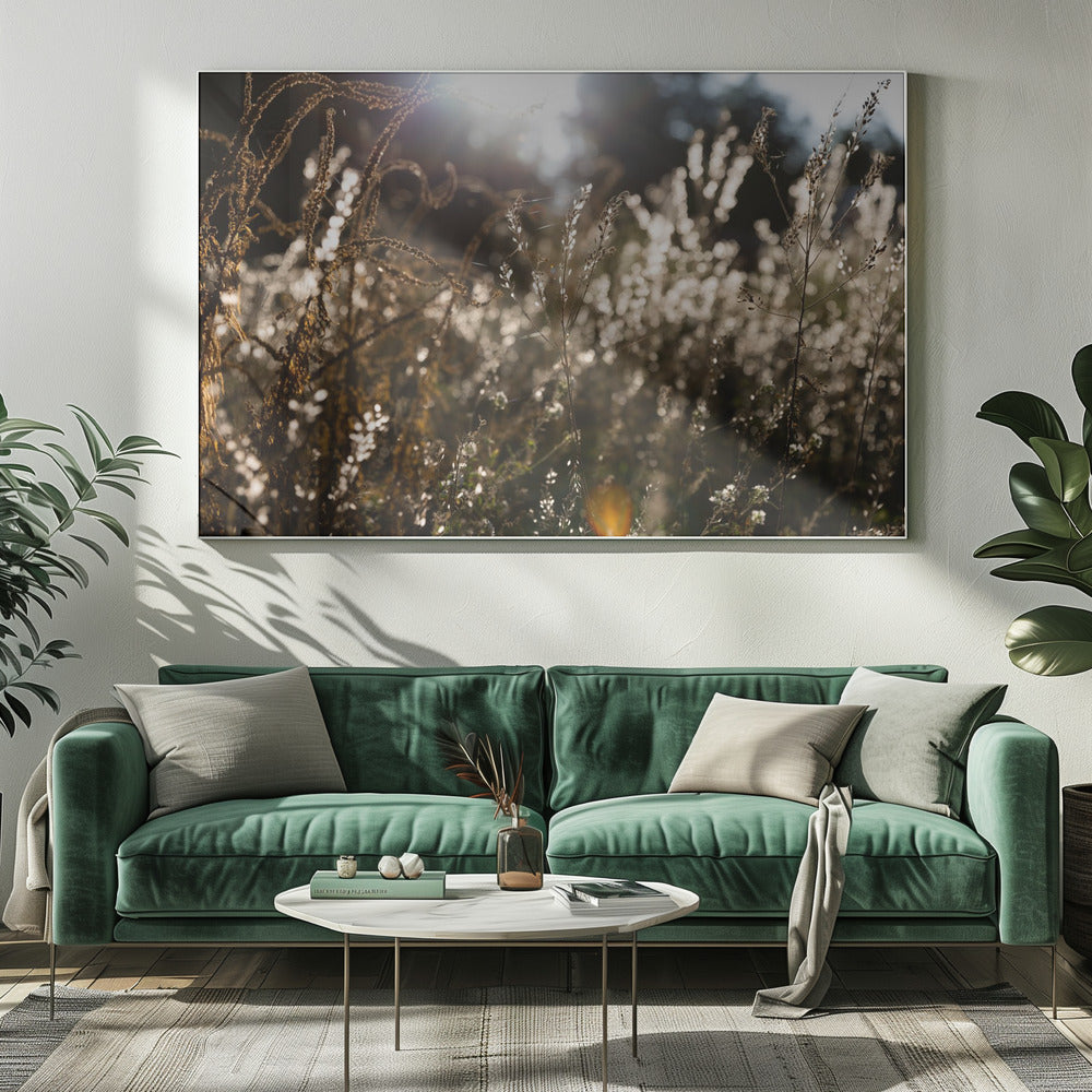 Warm Winter Light 7 | Canvas