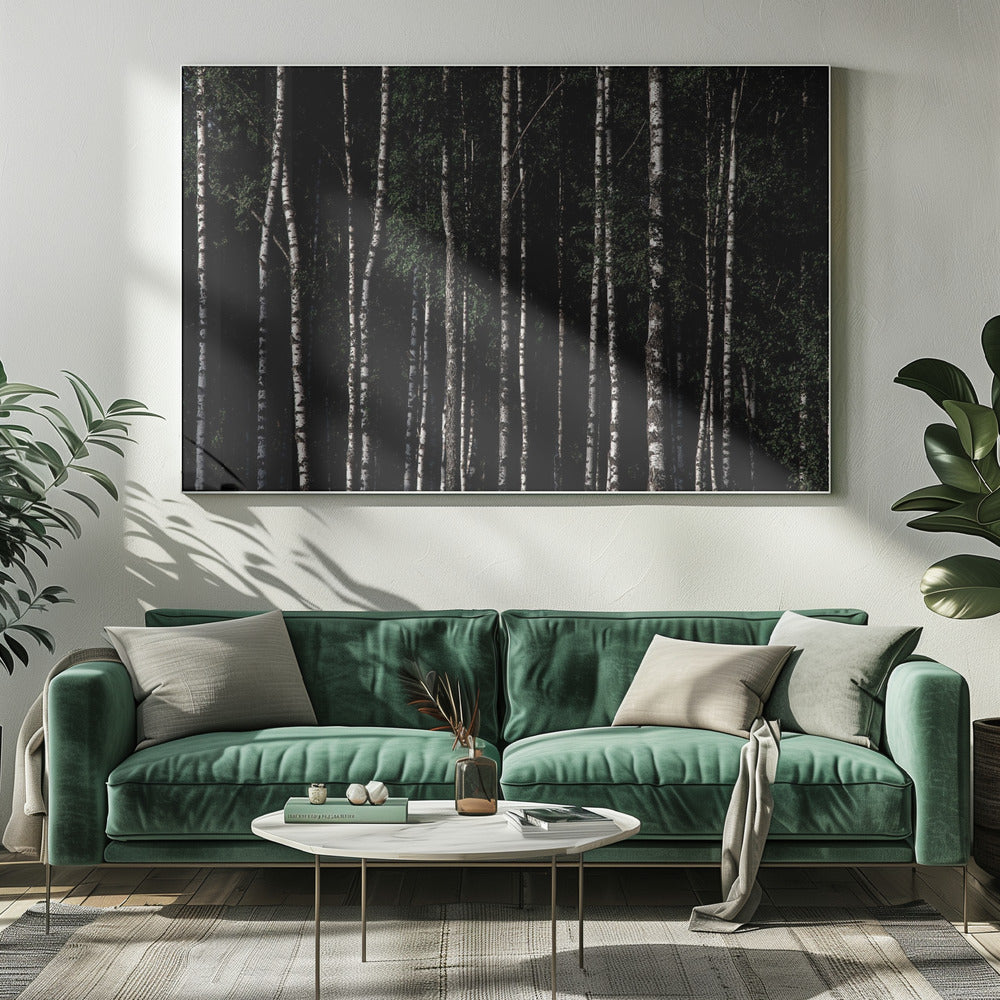 Somewhere In Sweden 4 | Canvas