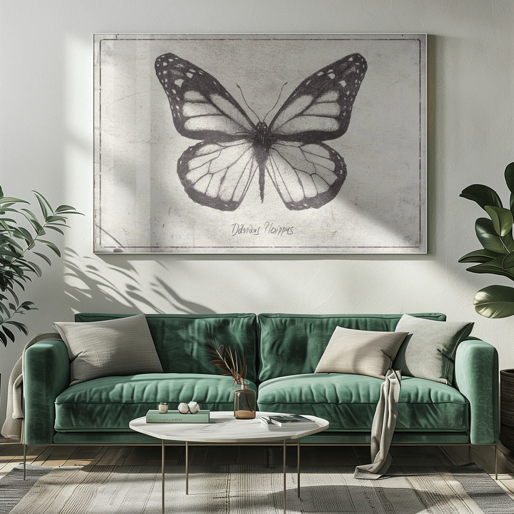 Sketch Of A Monarch Butterfly | Canvas
